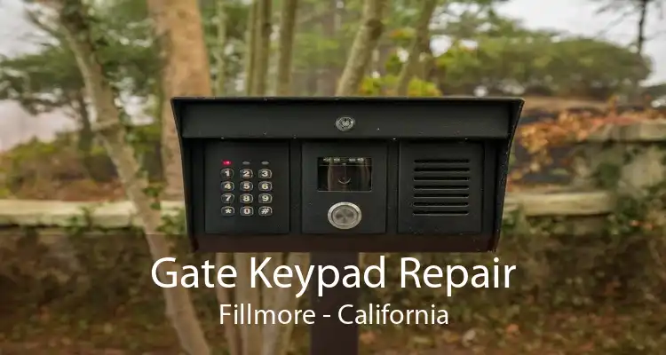 Gate Keypad Repair Fillmore - California